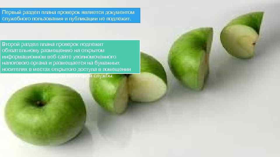 Первый раздел плана проверок является документом служебного пользования и публикации не подлежит. Второй раздел