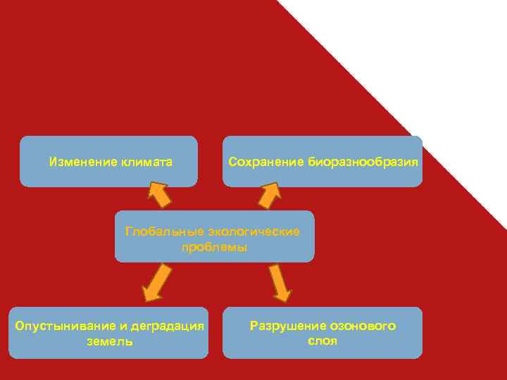 Изменение климата Сохранение биоразнообразия Глобальные экологические проблемы Опустынивание и деградация земель Разрушение озонового слоя