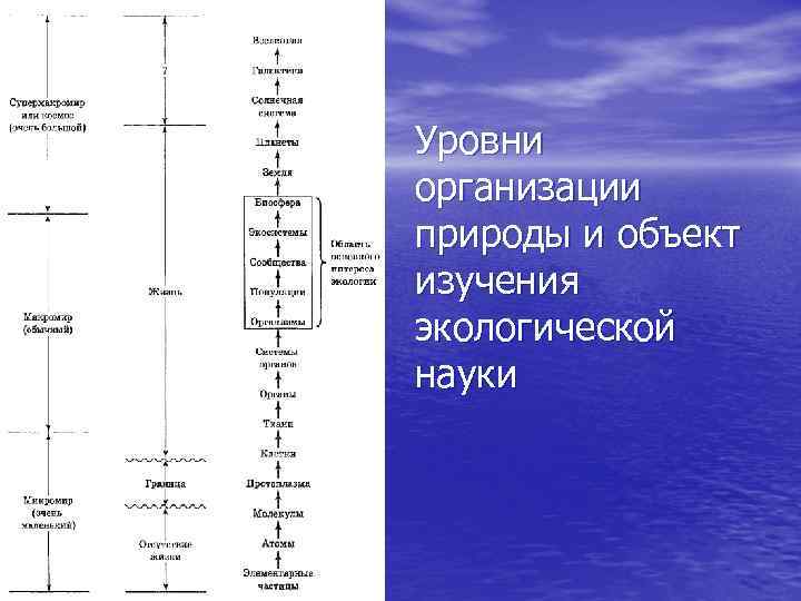 Уровни организации природы и объект изучения экологической науки 
