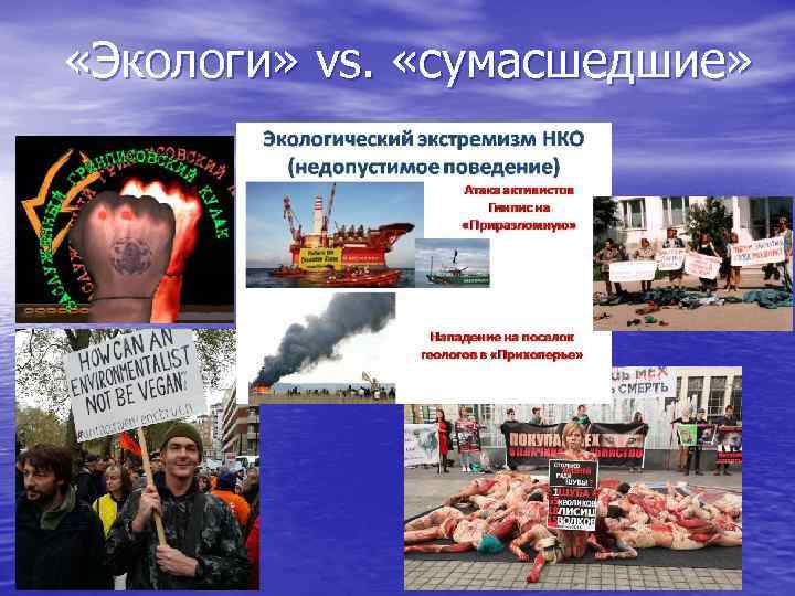  «Экологи» vs. «сумасшедшие» 