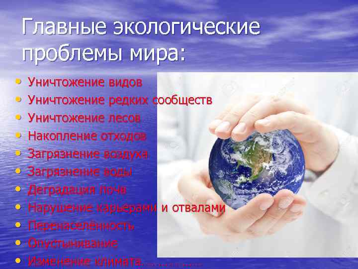 Главные экологические проблемы мира: • • • Уничтожение видов Уничтожение редких сообществ Уничтожение лесов