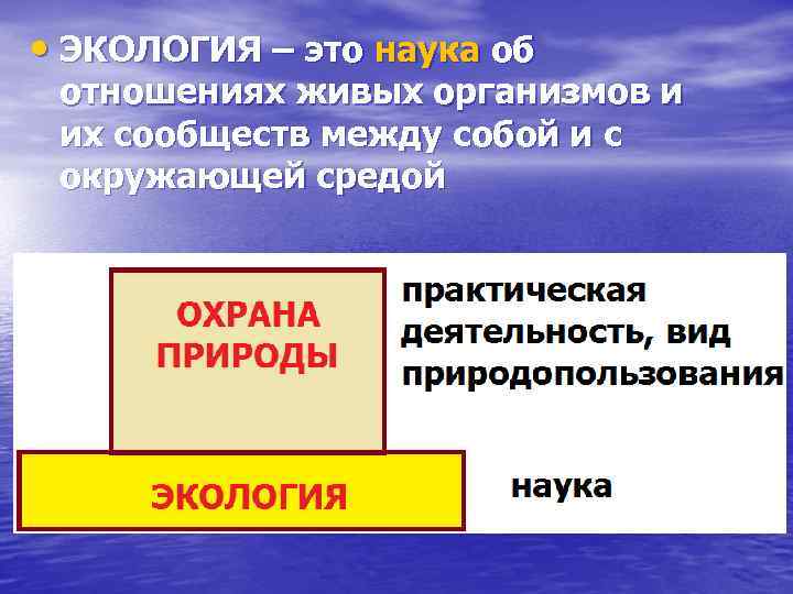  • ЭКОЛОГИЯ – это наука об отношениях живых организмов и их сообществ между
