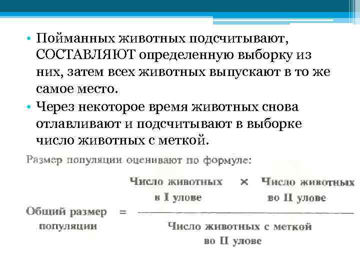 • Пойманных животных подсчитывают, СОСТАВЛЯЮТ определенную выборку из них, затем всех животных выпускают