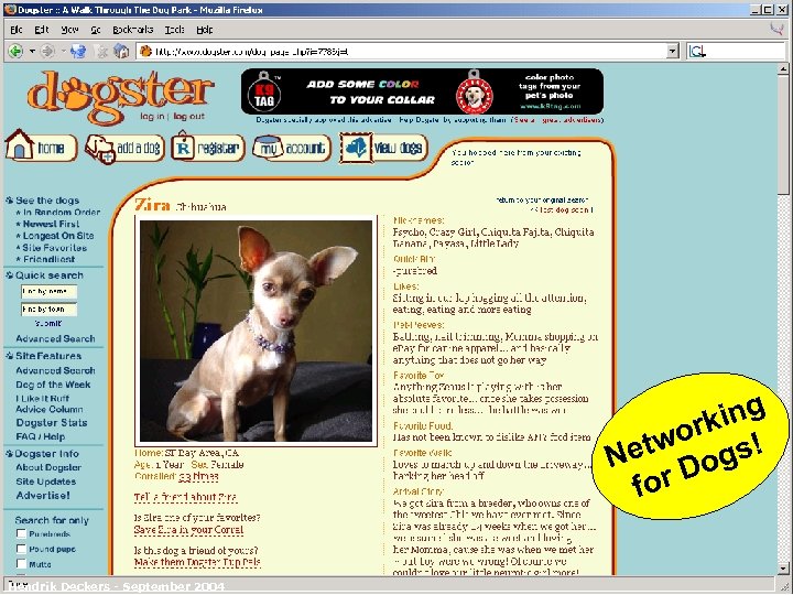 >european business development solutions< Not only for people Hendrik Deckers - September 2004 ing