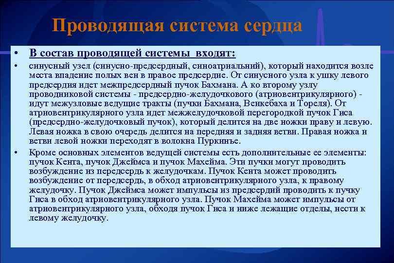 Проводящая система сердца • В состав проводящей системы входят: • • синусный узел (синусно-предсердный,