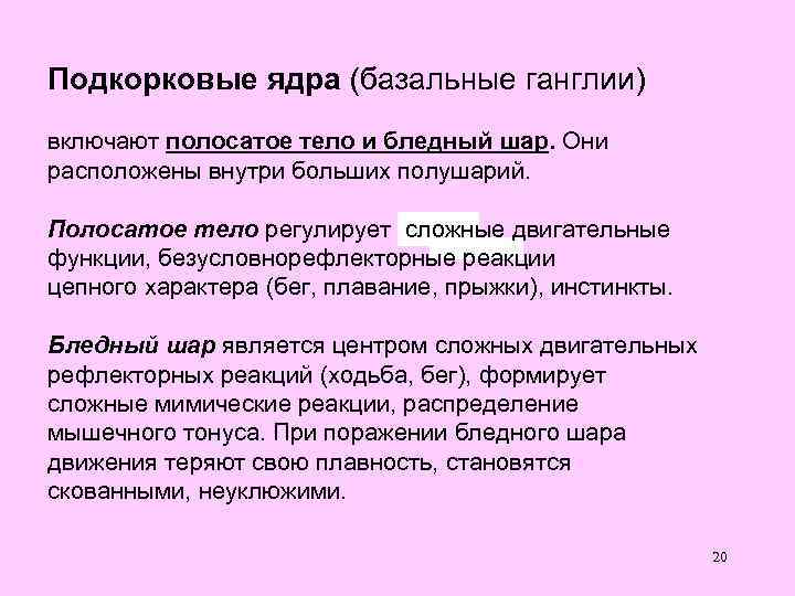 Подкорковые ядра (базальные ганглии) включают полосатое тело и бледный шар. Они расположены внутри больших