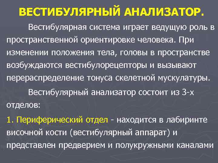 ВЕСТИБУЛЯРНЫЙ АНАЛИЗАТОР. Вестибулярная система играет ведущую роль в пространственной ориентировке человека. При изменении положения