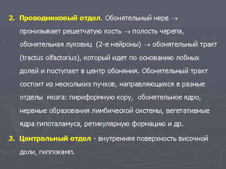 2. Проводниковый отдел. Обонятельный нерв пронизывает решетчатую кость полость черепа, обонятельная луковиц (2 -е