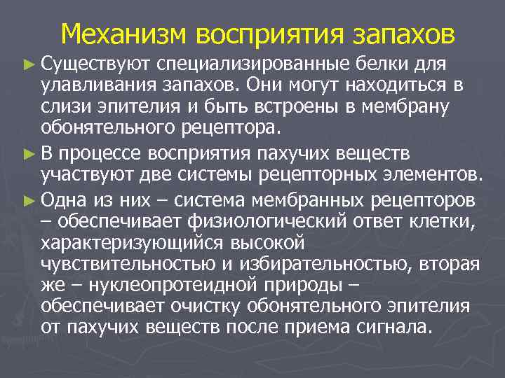 Механизм восприятия запахов ► Существуют специализированные белки для улавливания запахов. Они могут находиться в