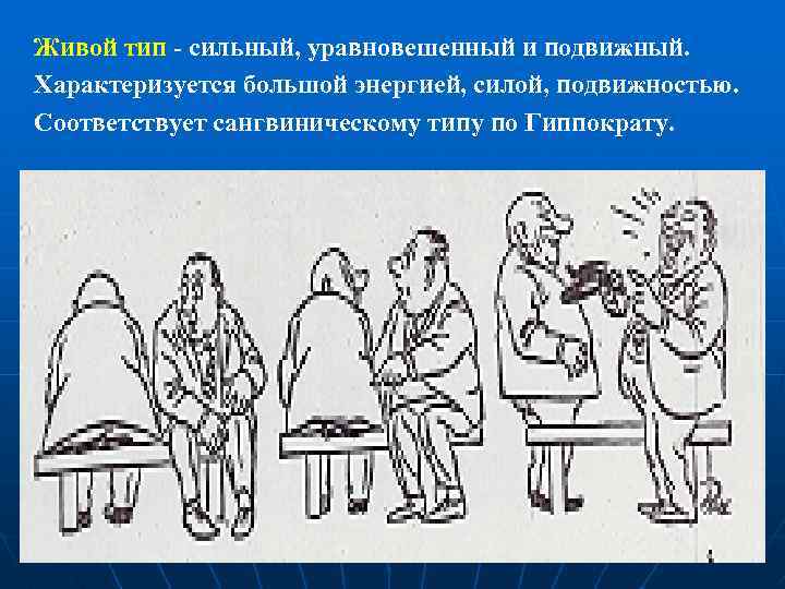 Живой тип - сильный, уравновешенный и подвижный. Характеризуется большой энергией, силой, подвижностью. Соответствует сангвиническому