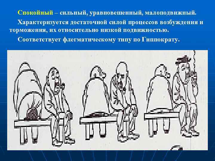 Спокойный – сильный, уравновешенный, малоподвижный. Характеризуется достаточной силой процессов возбуждения и торможения, их относительно