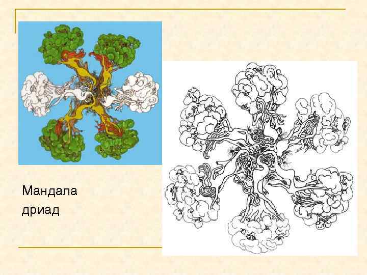 Мандала дриад 
