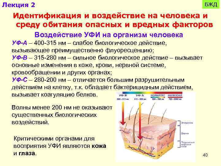 Лекция 2 БЖД Идентификация и воздействие на человека и среду обитания опасных и вредных