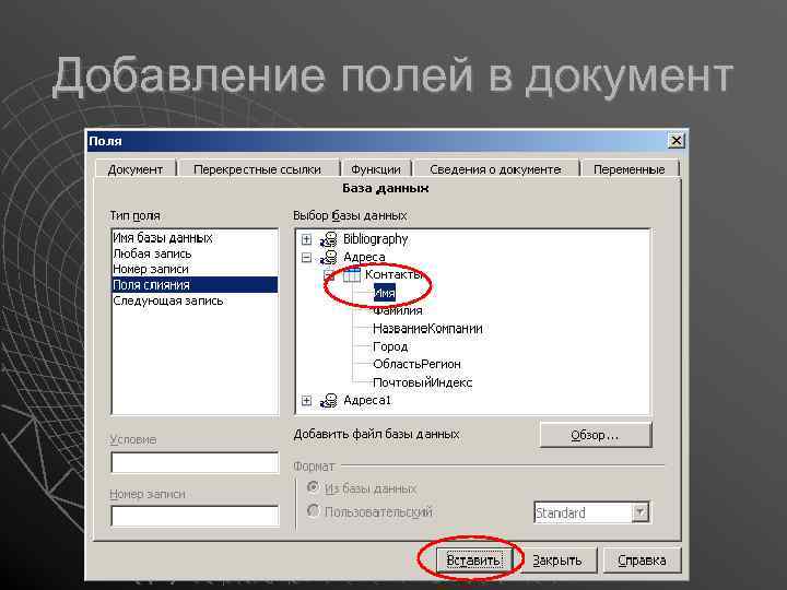 Добавление полей в документ 