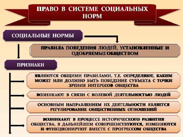 Какие термины относятся к понятию социальные нормы. Регулирование социальных норм. Нормы права в системе социальных норм. Право в системе социального регулирования. Понятие социального регулирования.