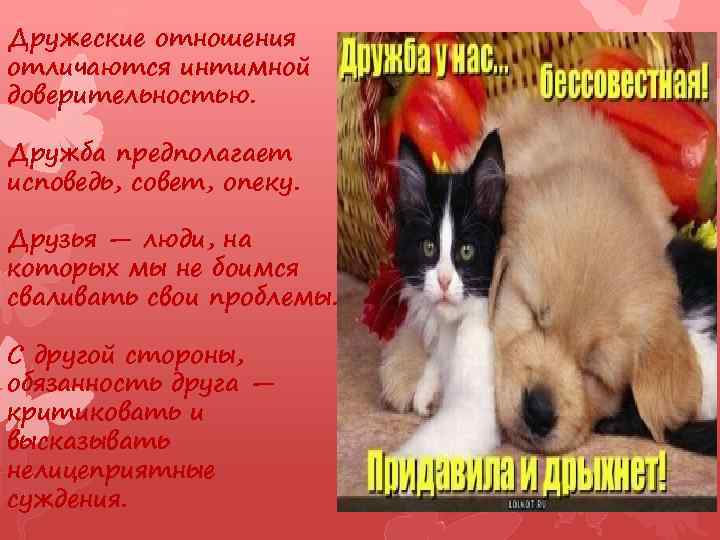 Дружеские отношения отличаются интимной доверительностью. Дружба предполагает исповедь, совет, опеку. Друзья — люди, на