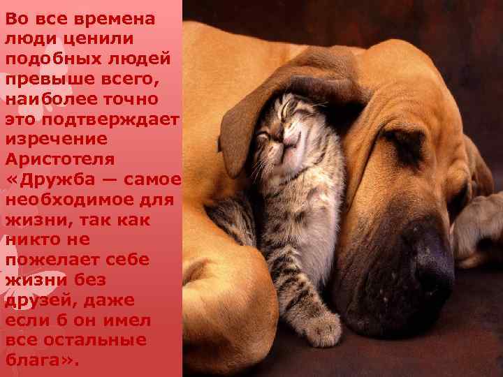 Во все времена люди ценили подобных людей превыше всего, наиболее точно это подтверждает изречение