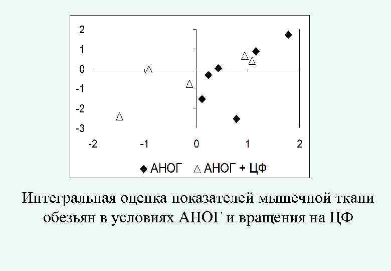 Интегральная оценка показателей мышечной ткани обезьян в условиях АНОГ и вращения на ЦФ 