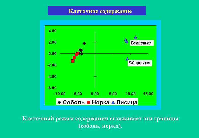  Клеточное содержание Клеточный режим содержания сглаживает эти границы (соболь, норка). 