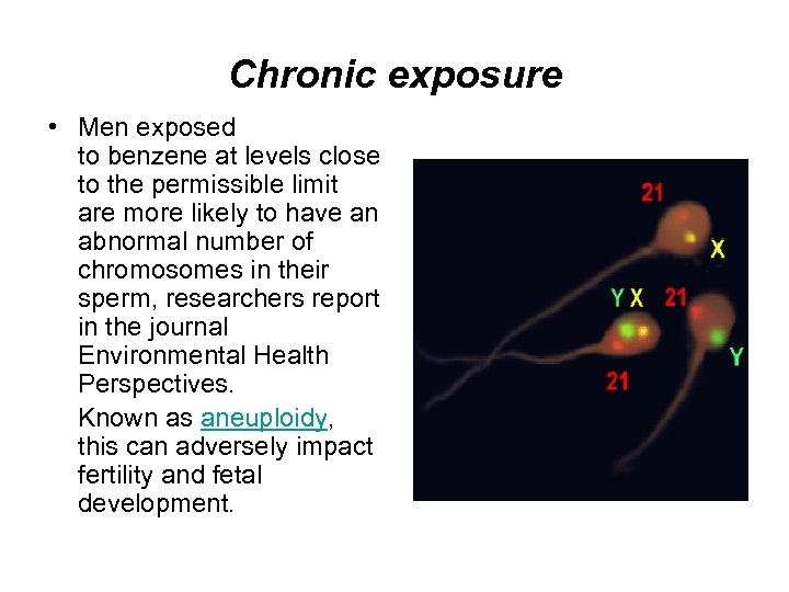 Chronic exposure • Men exposed to benzene at levels close to the permissible limit