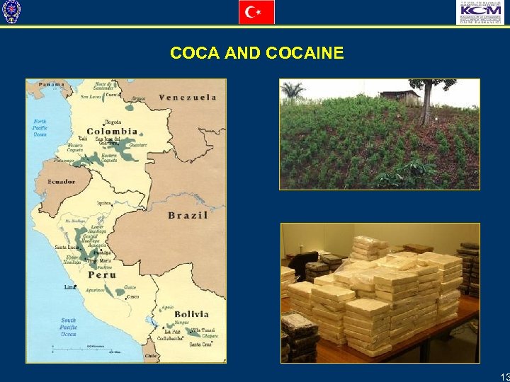 COCA AND COCAINE 13 