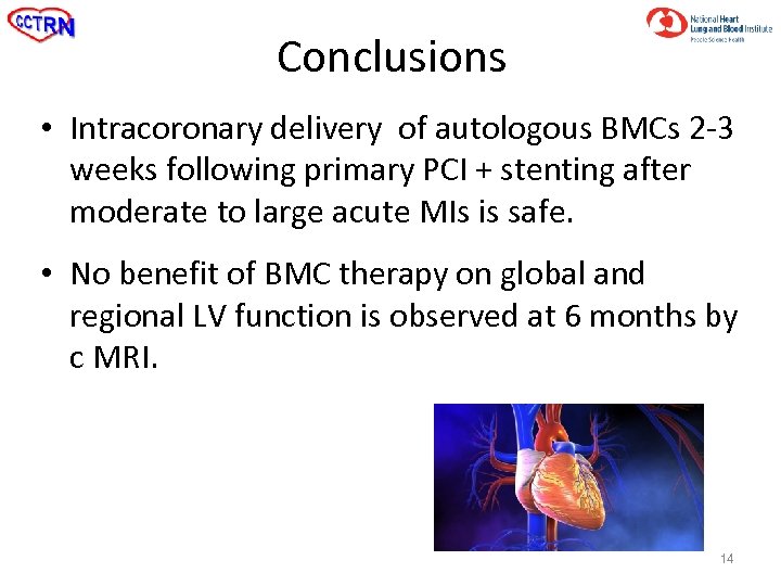 Conclusions • Intracoronary delivery of autologous BMCs 2 -3 weeks following primary PCI +