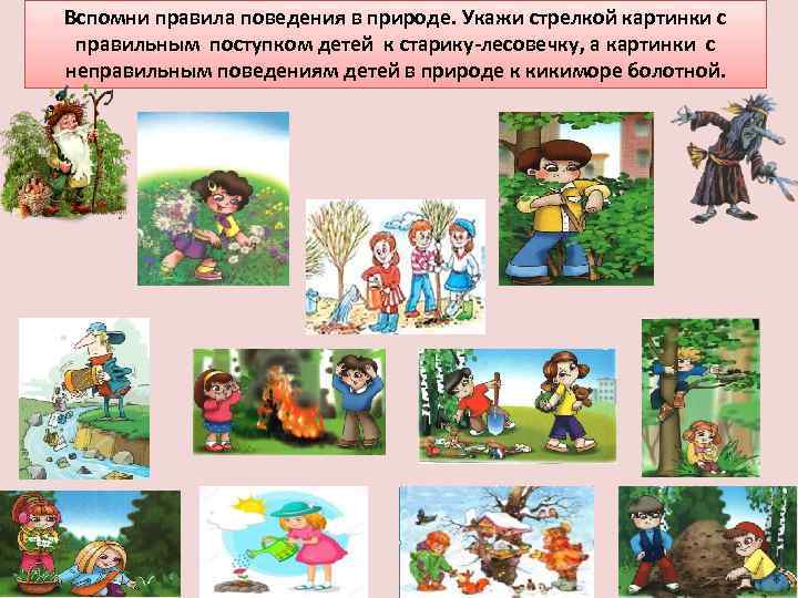 Вспомни правила поведения в природе. Укажи стрелкой картинки с правильным поступком детей к старику-лесовечку,