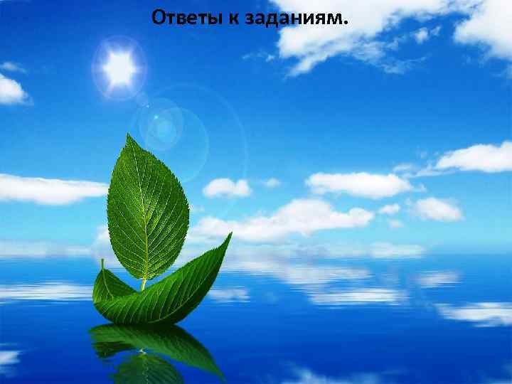 Ответы к заданиям. 