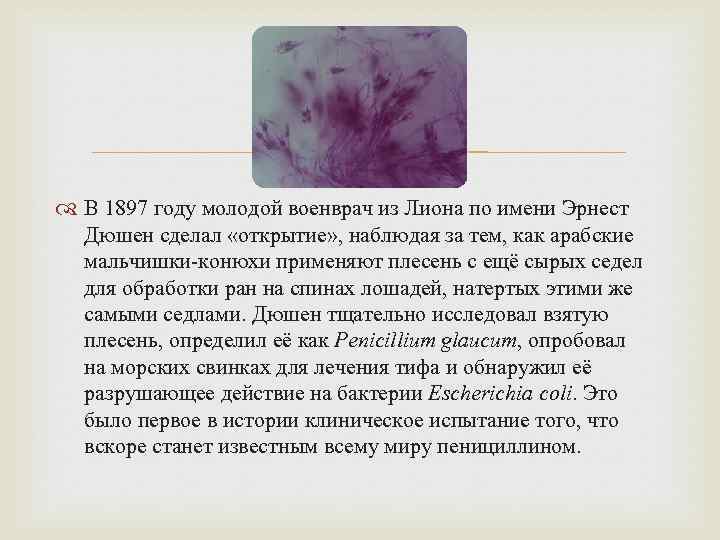  В 1897 году молодой военврач из Лиона по имени Эрнест Дюшен сделал «открытие»