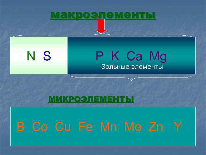 Fe cu mg. Зольные элементы. Зольные элементы растений. Микроэлементы CA, MG, S, B, Fe. S элемент CA , MG.