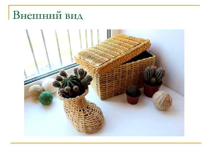 Внешний вид 