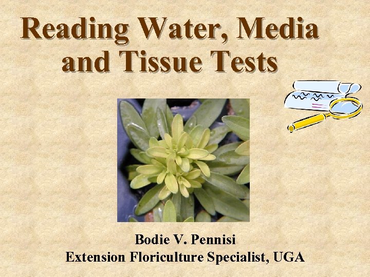 Reading Water, Media and Tissue Tests Bodie V. Pennisi Extension Floriculture Specialist, UGA 