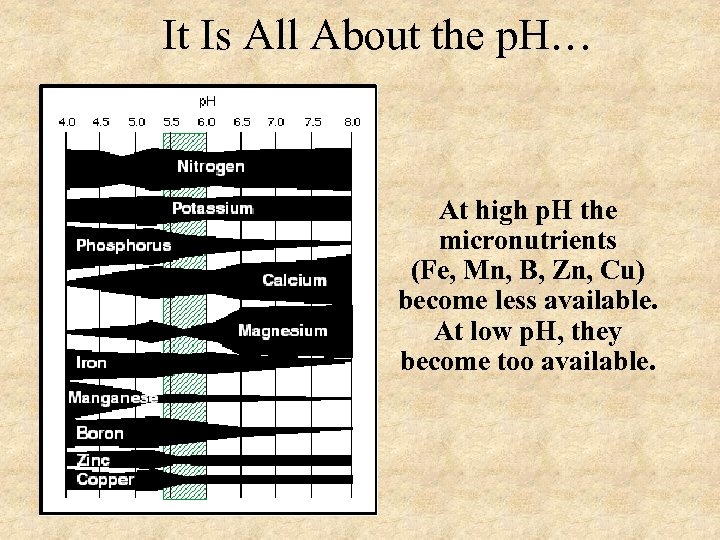 It Is All About the p. H… At high p. H the micronutrients (Fe,