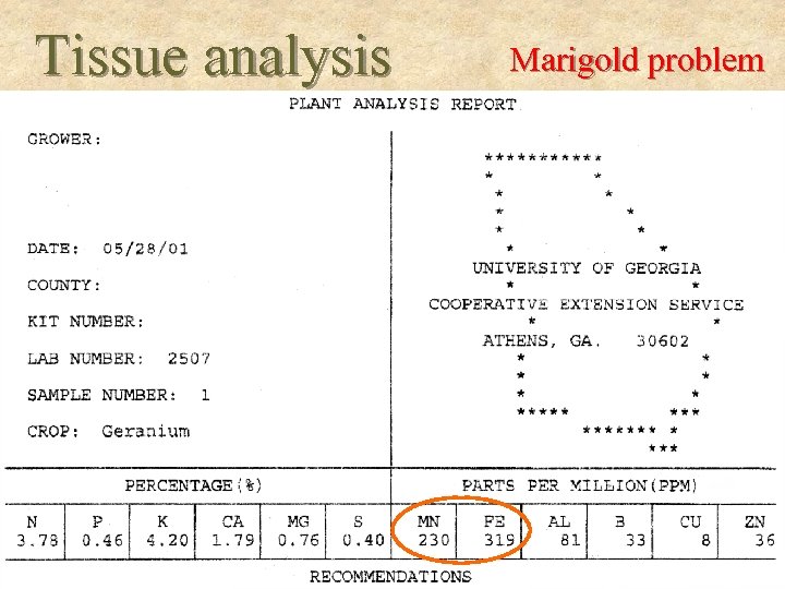 Tissue analysis Marigold problem 
