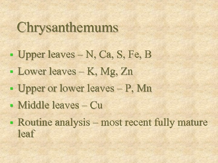 Chrysanthemums § Upper leaves – N, Ca, S, Fe, B § Lower leaves –