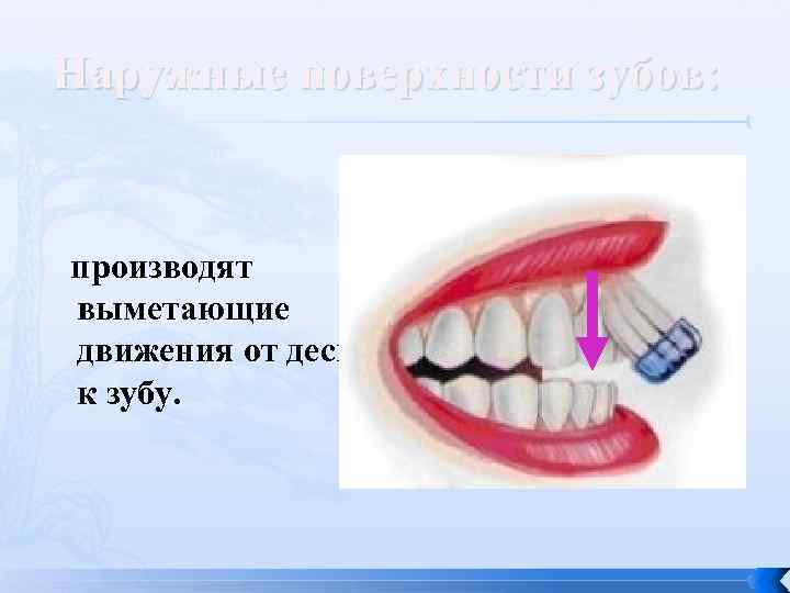 Наружные поверхности зубов: производят выметающие движения от десны к зубу. 