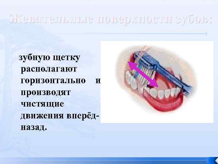 Жевательные поверхности зубов: зубную щетку располагают горизонтально и производят чистящие движения вперёдназад. 