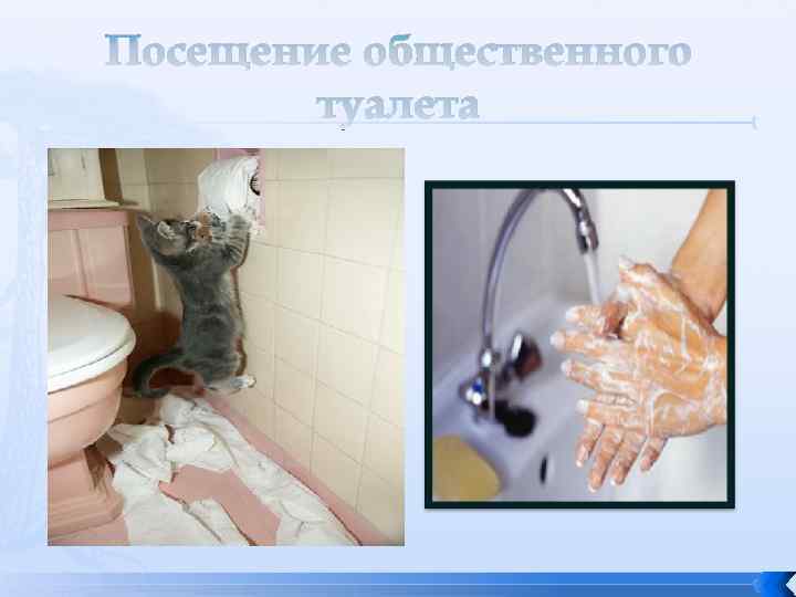 Посещение общественного туалета 