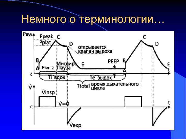 Немного о терминологии… 