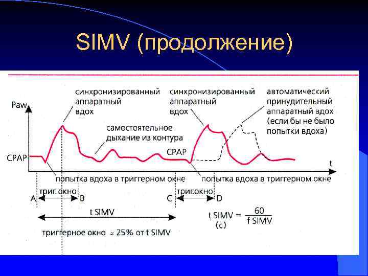 SIMV (продолжение) 