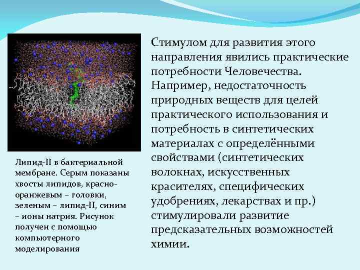 Липид-II в бактериальной мембране. Серым показаны хвосты липидов, краснооранжевым – головки, зеленым – липид-II,