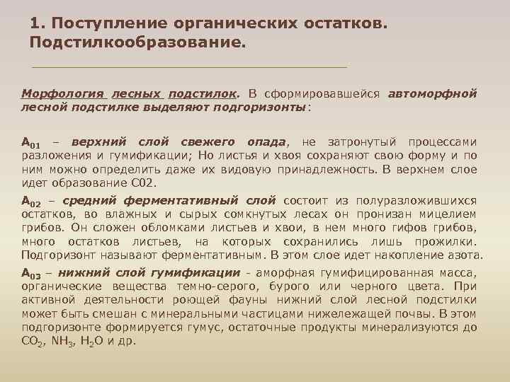 1. Поступление органических остатков. Подстилкообразование. Морфология лесных подстилок. В сформировавшейся автоморфной лесной подстилке выделяют