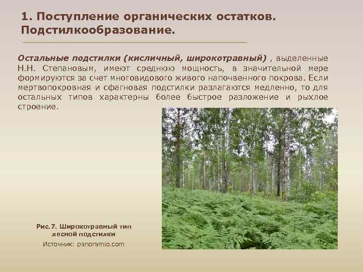 1. Поступление органических остатков. Подстилкообразование. Остальные подстилки (кисличный, широкотравный) , выделенные Н. H. Степановым,