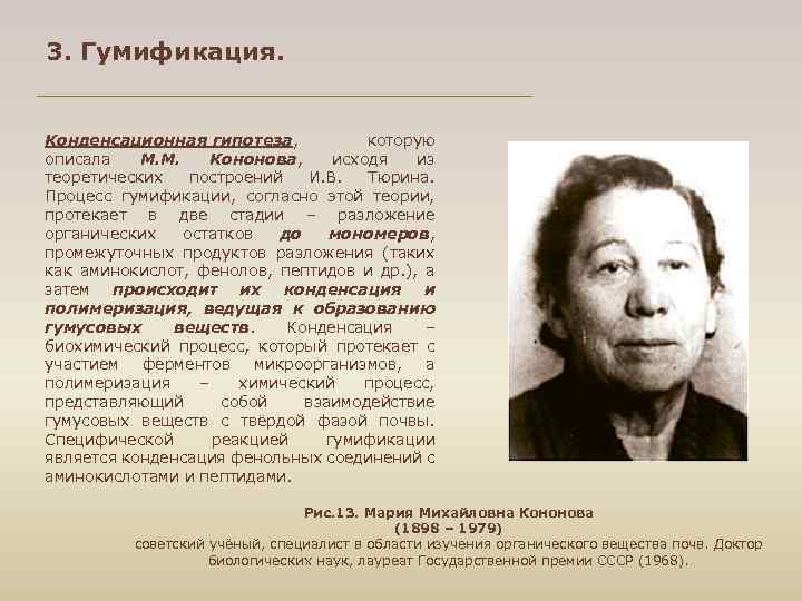 3. Гумификация. Конденсационная гипотеза, которую описала М. М. Кононова, исходя из теоретических построений И.