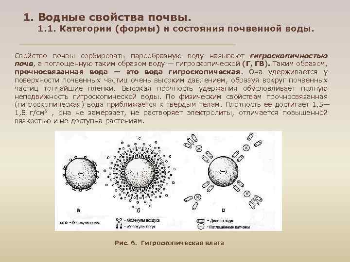 1. Водные свойства почвы. 1. 1. Категории (формы) и состояния почвенной воды. Свойство почвы