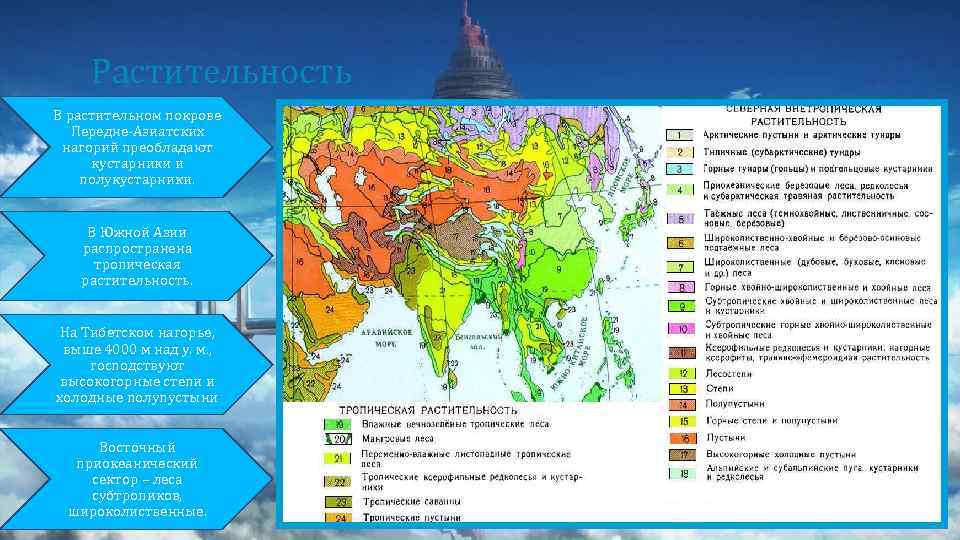 Растительность В растительном покрове Передне-Азиатских нагорий преобладают кустарники и полукустарники. В Южной Азии распространена