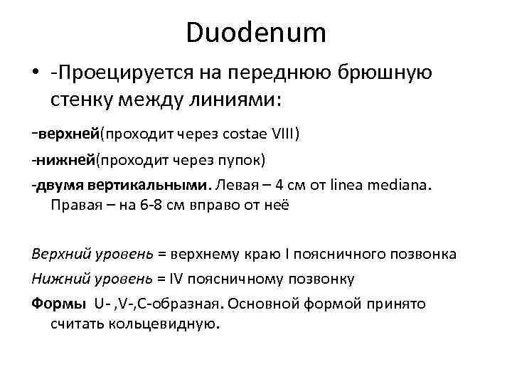 Duodenum • -Проецируется на переднюю брюшную стенку между линиями: -верхней(проходит через costae VIII) -нижней(проходит