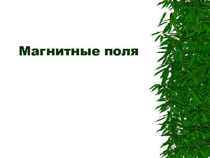 Магнитные поля 