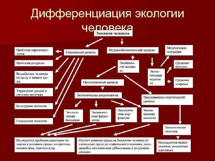 Дифференциация экологии человека 