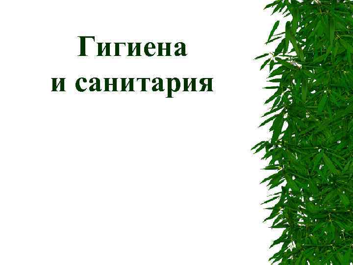 Гигиена и санитария 